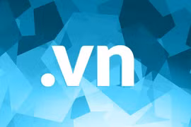Nhiều tên miền ".vn" được đưa ra đấu giá. (Ảnh: Báo Chính phủ)