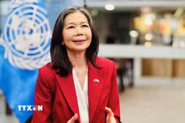 Điều phối viên thường trú của Liên hợp quốc tại Việt Nam Pauline Tamesis trả lời phỏng vấn của phóng viên Thông tấn xã Việt Nam. (Ảnh: Việt Đức/TTXVN)