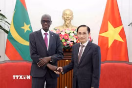 Bộ trưởng Bộ Ngoại giao Lê Hoài Trung và Bộ trưởng, Tổng Thư ký Chính phủ Cộng hòa Hồi giáo Mauritania Moctar Al Housseynou Lam. (Ảnh: An Đăng/TTXVN)