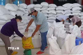Ảnh minh họa. (Nguồn: TTXVN)