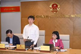 Thứ trưởng Bộ Khoa học và Công nghệ Bùi Hoàng Phương phát biểu tại sự kiện. (Ảnh: Minh Sơn/Vietnam+)