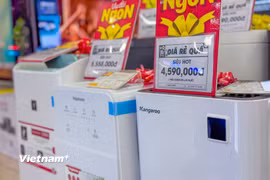 (Ảnh: Minh Sơn/Vietnam+)
