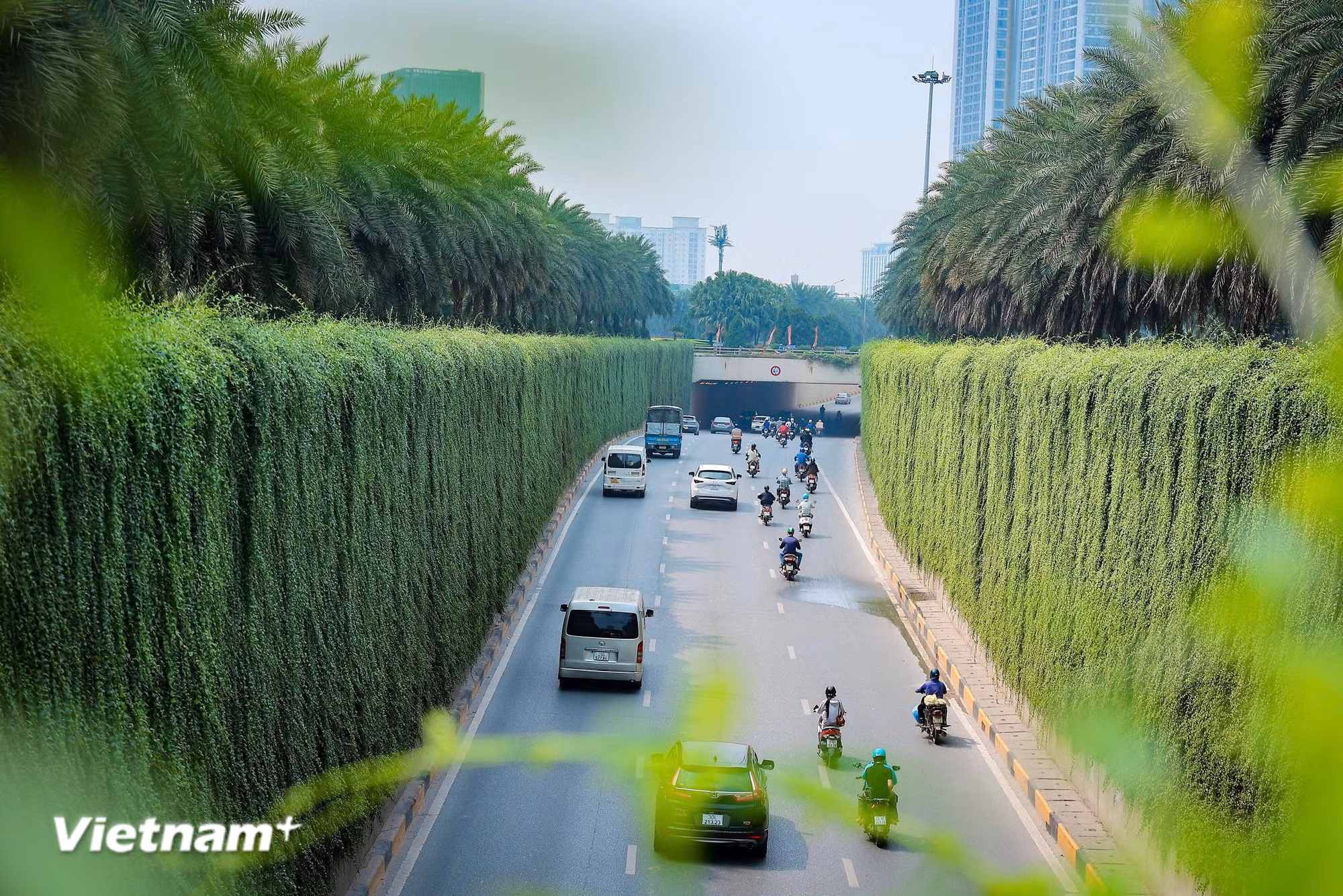 Quản trị môi trường theo hướng hiện đại. (Ảnh: Hoài Nam/Vietnam+)