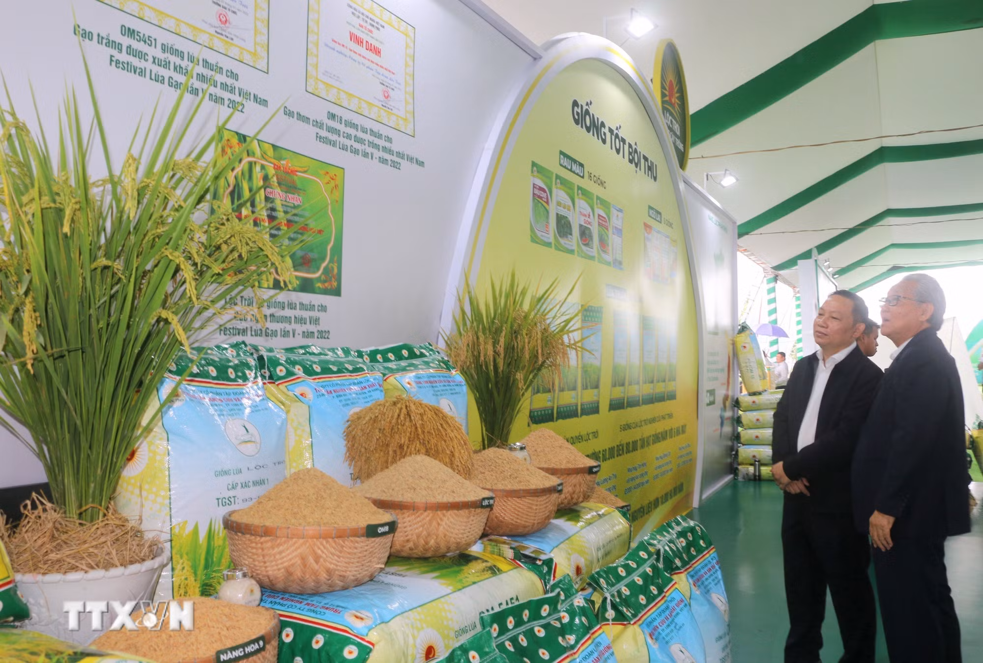 ttxvn_canh-tac-lua-theo-huong-ben-vung-giam-phat-tha-8370170.jpg