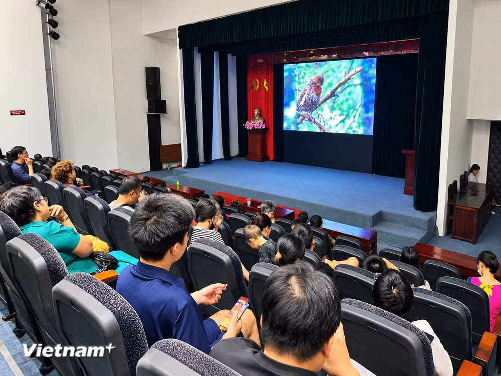vnp_le-hoi-van-hoa-the-gioi.png