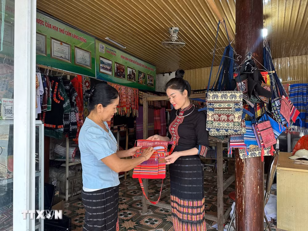 ttxvn_nghe-an-tre-hoa-can-bo-co-so-tao-nguon-cho-quan-tri-hien-dai-9069785.jpg