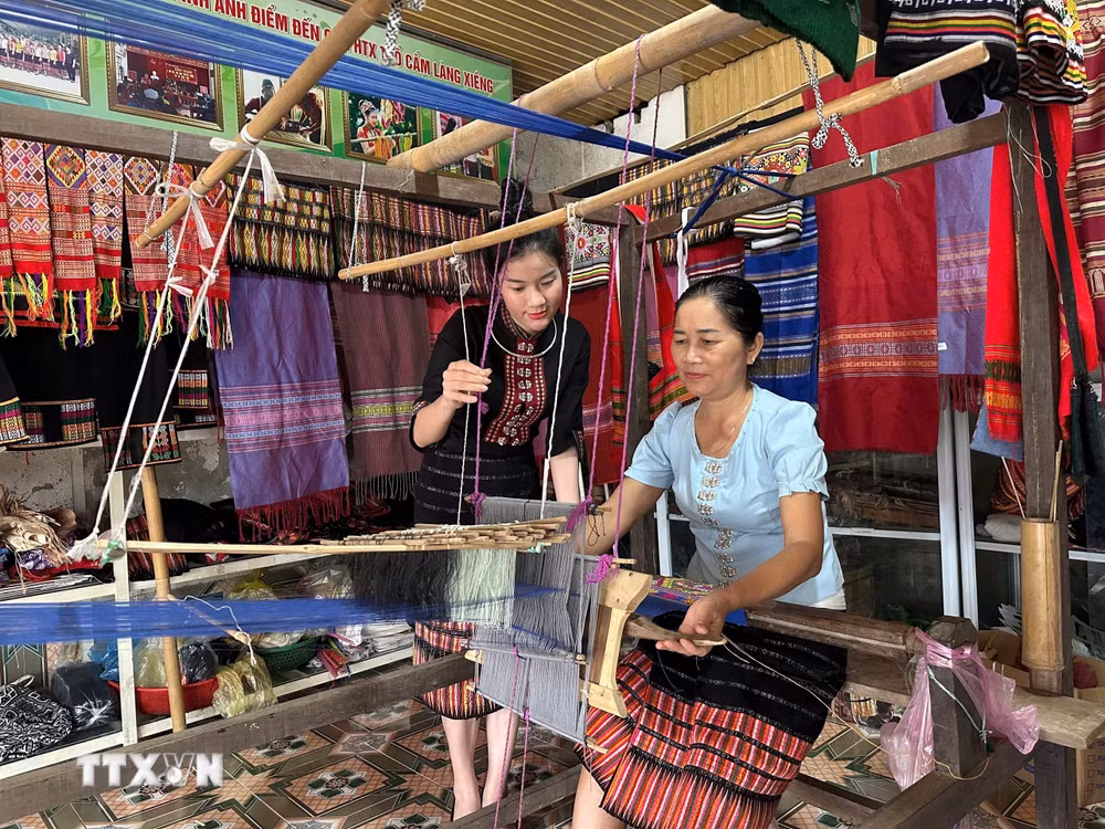 ttxvn_nghe-an-tre-hoa-can-bo-co-so-tao-nguon-cho-quan-tri-hien-dai-9069774.jpg