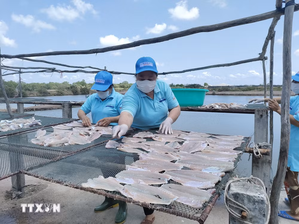 ttxvn_vinh-long-tu-tuyen-duong-huyen-thoai-tren-bien-den-khat-vong-vuon-minh-trong-ky-nguyen-moi-9107726.jpg