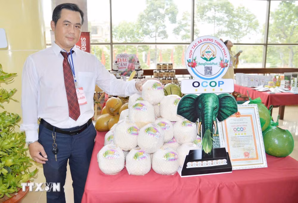 ttxvn_dong-thap-tao-dong-luc-moi-cho-kinh-te-nong-nghiep-tu-san-pham-ocop-9073624.jpg