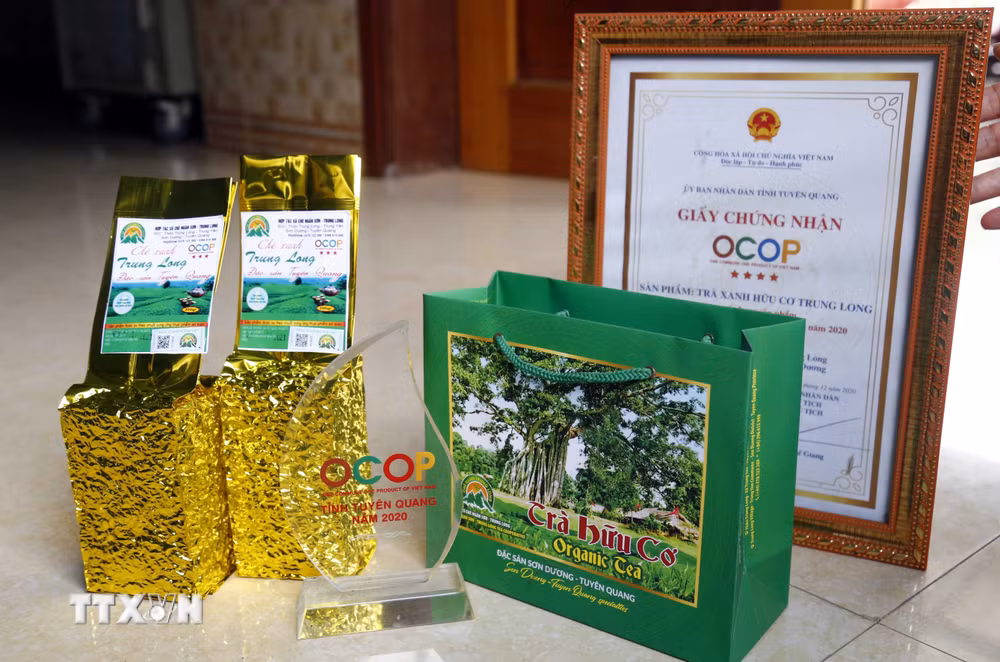 ttxvn_tuyen-quang-day-manh-san-xuat-che-sach-5556831.jpg