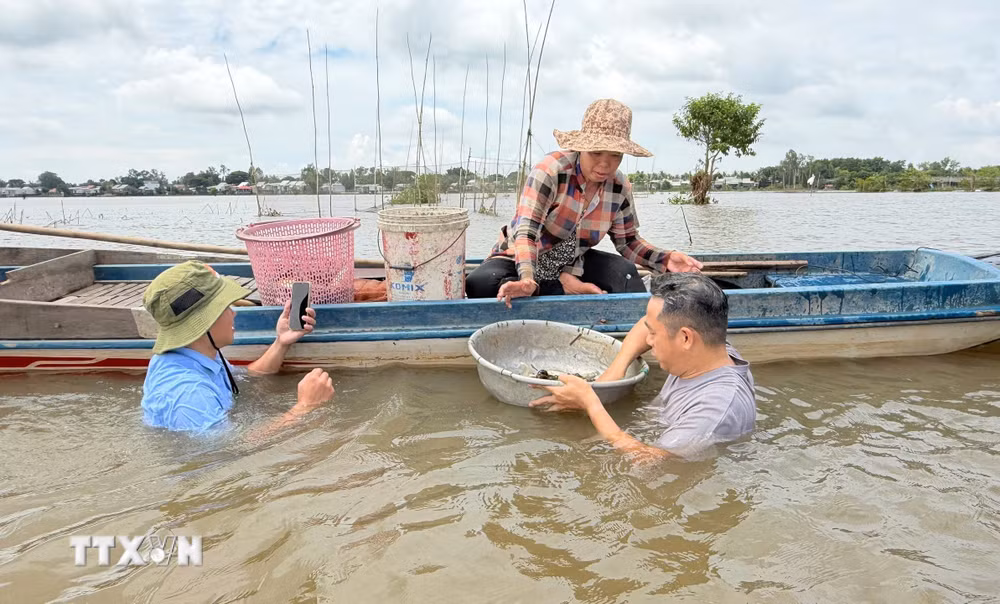 ttxvn_tam-dong-trai-nghiem-doc-dao-trong-mua-nuoc-noi-o-an-giang-9087487.jpg