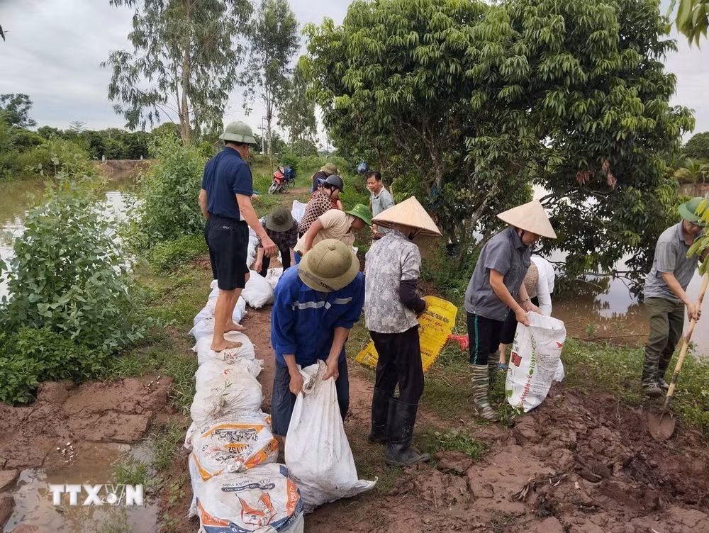ttxvn-hai-phong-kip-thoi-khac-phuc-cac-su-co-cua-he-thong-thuy-loi-bac-hung-hai-do-bao-so-4-gay-ra-8980013.jpg