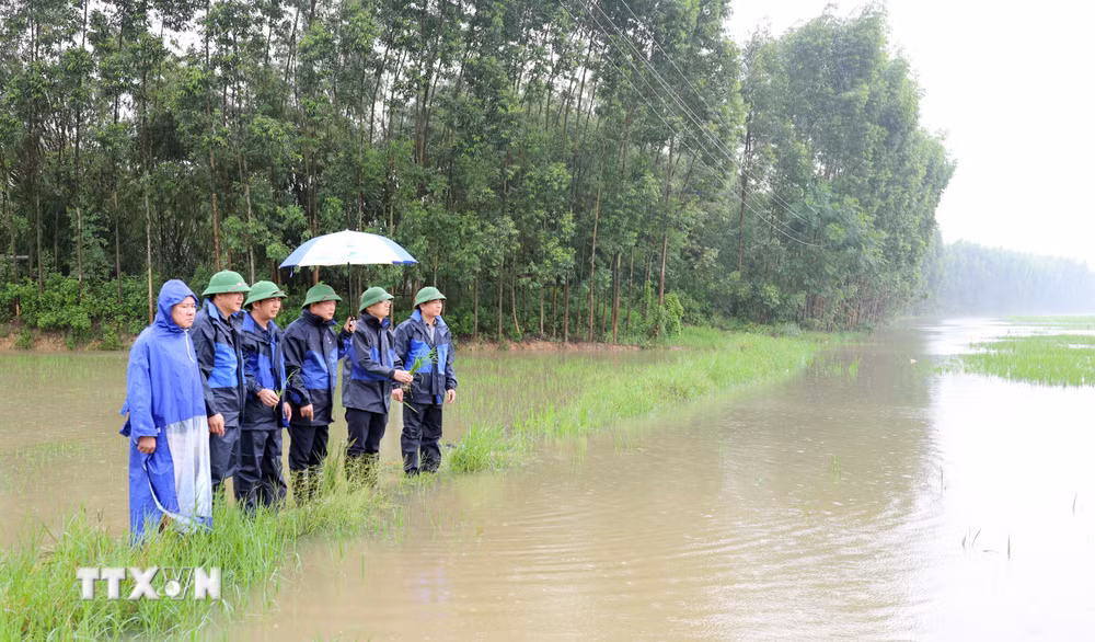 ttxvn-bac-ninh-khac-phuc-hau-qua-mua-lu-day-manh-san-xuat-lua-8981719.jpg