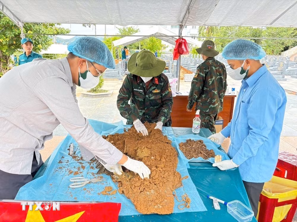 ttxvn-gia-lai-tan-dung-moi-phuong-thuc-tim-kiem-quy-tap-va-xac-dinh-danh-tinh-hai-cot-liet-si-8998248.jpg