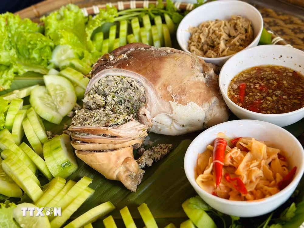 ttxvn-nghe-an-da-dang-trai-nghiem-trong-ky-nghi-tet-nguyen-dan-2026-8585095.jpg