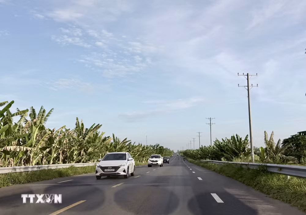 ttxvn-an-giang-trien-khai-keo-dien-tren-tuyen-tranh-long-xuyen-8886157.jpg