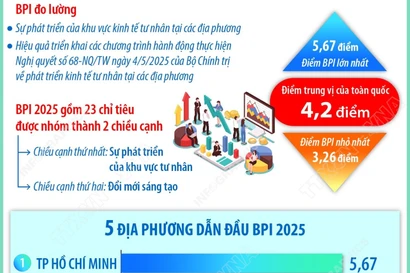 Kết quả Chỉ số Hiệu quả Kinh tế tư nhân năm 2025 của 34 địa phương