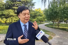 Giáo sư Mễ Lương, Giám đốc Trung tâm Nghiên cứu Đông Nam Á, Đại học Ngoại ngữ Bắc Kinh kỳ vọng chuyến thăm sẽ trở thành dịp quan trọng để nâng cao chất lượng hợp tác giữa hai cơ quan lập pháp hai nước. (Ảnh: Quang Hưng/TTXVN)