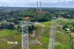 Dự án Đường dây truyền tải điện siêu cao áp 500 kV Lào Cai-Vĩnh Yên có tổng chiều dài hơn 229 km, tổng mức đầu tư hơn 7.410 tỷ đồng, đi qua địa bàn 2 tỉnh Phú Thọ và Lào Cai. (Ảnh: Vũ Sinh/TTXVN)
