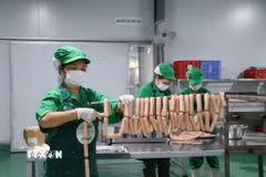 Cơ sở chế biến thực phẩm theo hình thức từ “Trang trại đến bàn ăn” tại xã Đông Thọ, Tuyên Quang. (Ảnh: Hoàng Hải/TTXVN)