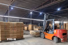 Sản xuất ván ép tại Công ty Cổ phần Xây dựng và Thương mại Thái Hoàng, Khu công nghiệp Nam Quang, xã Vĩnh Tuy, tỉnh Tuyên Quang. (Ảnh: Minh Tâm/TTXVN)