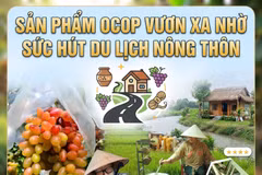 Sản phẩm OCOP vươn xa nhờ sức hút du lịch nông thôn