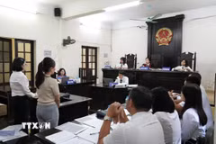 Hội đồng xét xử điều hành phiên tòa. (Ảnh: Kim Anh/TTXVN)
