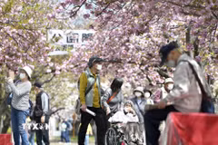 Người cao tuổi tại Osaka, Nhật Bản. (Ảnh: Kyodo/TTXVN)