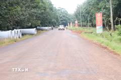Trên tuyến ĐH. Long Hưng-Long Bình, các cấu kiện cống được bố trí dọc hai bên đường, chuẩn bị cho các hạng mục thoát nước trong quá trình nâng cấp, mở rộng tuyến đường. (Ảnh: Đậu Tất Thành/TTXVN)