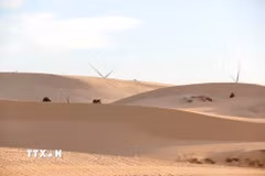 Những đồi cát cao vút trải dài với nhiều hình dạng độc đáo và thay đổi thường xuyên dưới tác động của gió, thu hút du khách khi đến tham quan Bàu Trắng. (Ảnh: Nguyễn Thanh/TTXVN)
