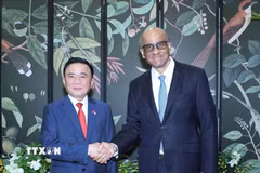 Thường trực Ban Bí thư Trần Cẩm Tú hội kiến Tổng thống Singapore Tharman Shanmugaratnam. (Ảnh: Phương Hoa/TTXVN)