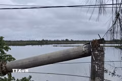 Hệ thống cột điện các loại bị ảnh hưởng, gãy, nghiêng do bão. (Ảnh minh họa: Thanh Vân/TTXVN)