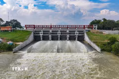 Hồ Dầu Tiếng là công trình thủy lợi đặc biệt quan trọng liên quan đến an ninh quốc gia, giữ vai trò quan trọng trong bảo đảm nguồn nước phục vụ sản xuất, dân sinh và điều tiết nguồn nước khu vực Đông Nam Bộ. (Ảnh: Minh Phú/TTXVN)