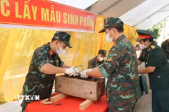 Các chiến sỹ Tổ lấy mẫu số 1, Bộ Chỉ huy Quân sự tỉnh Phú Thọ thực hiện công tác lấy mẫu hài cốt liệt sỹ giám định ADN tại Nghĩa trang Liệt sỹ Chiến dịch Trần Hưng Đạo, xã Bình Nguyên. (Ảnh: Nguyễn Thảo/TTXVN)