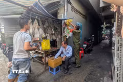 Hiện trường vụ cháy. (Ảnh TTXVN phát)