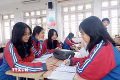 Các thành viên đội tuyển thi học sinh giỏi quốc gia môn tiếng Trung của Trường Trung học phổ thông chuyên Hạ Long, Quảng Ninh trau dồi kỹ năng nghe tiếng Trung. (Ảnh: Thanh Vân/TTXVN)