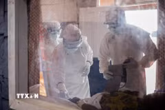 Nhân viên y tế kiểm tra sức khỏe cho bệnh nhân Ebola tại trung tâm điều trị ở Beni, tỉnh Bắc Kivu, Cộng hòa Dân chủ Congo. (Ảnh: THX/TTXVN phát)
