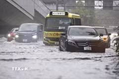 Ngập lụt sau mưa lớn tại Nagoya, Nhật Bản ngày 8/9/2026. (Ảnh: Kyodo/TTXVN phát)