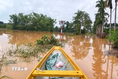 (Ảnh minh họa: Tường Vi/TTXVN)