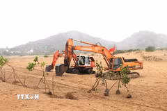 Đắk Lắk khơi thông dòng vốn trọng điểm, chuyển cam kết thành dự án thực tế