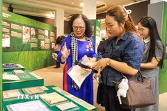 Trưng bày chuyên đề “Thời thanh xuân từ đường Trường Sơn đến đường 1C huyền thoại” mang đến nhiều cảm xúc cho khách tham quan. (Ảnh: Khánh Hoà/TTXVN)