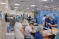 Phần lớn bệnh nhân đang được cấp cứu tại Bệnh viện ngoại khoa 115 Nghệ An. (Ảnh: Văn Tý/TTXVN)