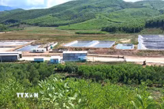 Trang trại chăn nuôi heo Minh Phúc dù nằm ở xa khu dân cư nhưng mùi hôi vẫn ảnh hưởng đến nhà người dân. (Ảnh: Tường Quân/TTXVN)