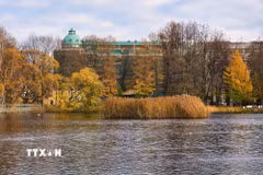 Bức tranh mùa Thu vàng tại vườn Tauride ở St. Petersburg, Nga ngày 27/10/2026. (Ảnh: THX/TTXVN phát)