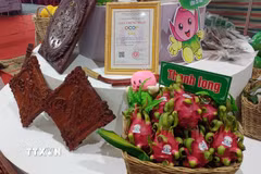 Sản phẩm thanh long ruột đỏ và sản phẩm đồ thủ công mỹ nghệ đạt OCOP 3 sao của Hợp tác xã nông nghiệp sạch Hưng Thịnh Phát ở xã Tân Thuận Bình, tỉnh Đồng Tháp. (Ảnh: Hữu Chí/TTXVN)