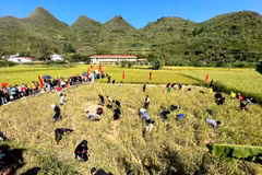 Du khách được tham gia trải nghiệm hoạt động bắt cá tại lễ hội. (Nguồn: Cổng thông tin điện tử tỉnh Tuyên Quang)