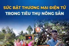 Sức bật thương mại điện tử trong tiêu thụ nông sản