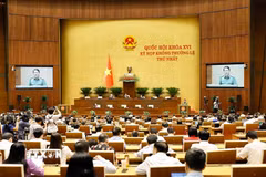 Quang cảnh phiên họp sáng 20/8. (Ảnh: Doãn Tấn/TTXVN)