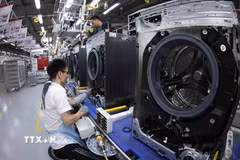 Dây chuyền lắp ráp máy giặt tại nhà máy của Công ty Trách nhiệm hữu hạn LG Electronics Việt Nam tại Hải Phòng. (Ảnh: Vũ Sinh/TTXVN)