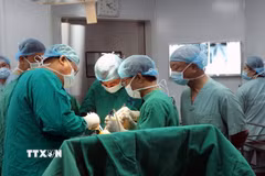 Bác sỹ bệnh viện Hữu Nghị Việt Đức trực tiếp hướng dẫn êkip mổ thay khớp gối cho bệnh nhân tại bệnh viện Đa khoa Hà Nam. (Ảnh: Đại Nghĩa/TTXVN)
